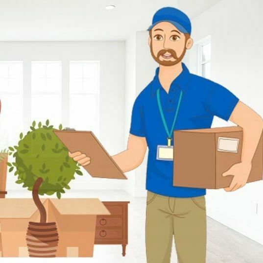 Avatar: Packers Moving Tips